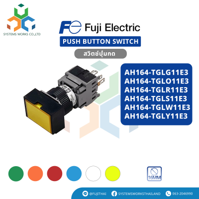 AH164-TGLG11E3 , AH164-TGLO11E3 , AH164-TGLR11E3 , AH164-TGLS11E3 , AH164-TGLW11E3 , AH164-TGLY11E3