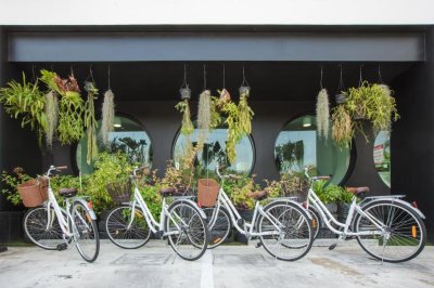 Blu Monkey Hub and Hotel Phuket