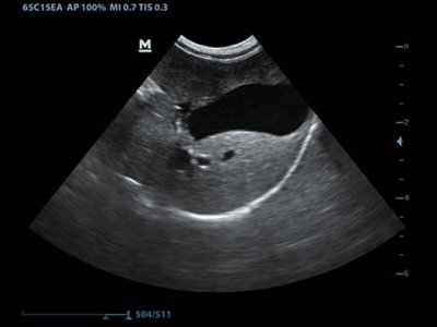 Mindray DP-50Vet