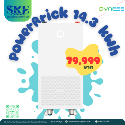 แบตเตอรี่ Dyness PowerBrick ความจุ 14.3kWh แบตลิเธียมระบบโซล่าเซลล์สำรองไฟ