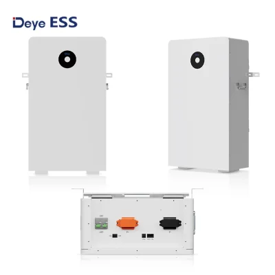 แบตเตอรี่ Deye DY-RW-F16 LiFePO4 ขนาด 16.12kWh แรงดัน 51.2V สำหรับโซลาร์เซลล์ Hybrid