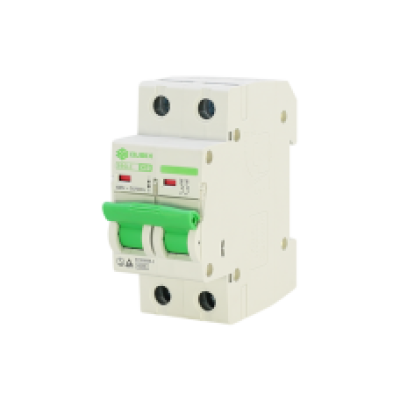 QUBIX Miniature Circuit Breaker (MCB) 2-Pole 6kA SB6LC Series (1A - 63A)