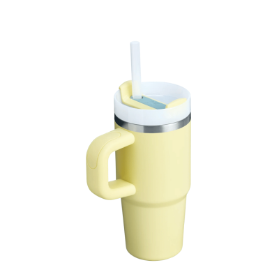 The Quencher H2.0 FlowState Tumbler with Handle  20 Oz.