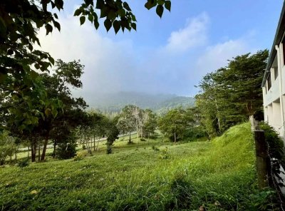 10R0507 บ้านเดี่ยวชั้นเดียว 2 ห้องนอน 1 ห้องน้ำ ราคา 28,000/เดือน โซนรัษฏา