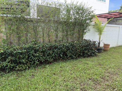 11R0032 This House 3bedroom 2bathroom 33,000/month at kohkeaw have fully furnished