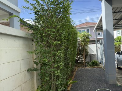 11R0032 This House 3bedroom 2bathroom 33,000/month at kohkeaw have fully furnished