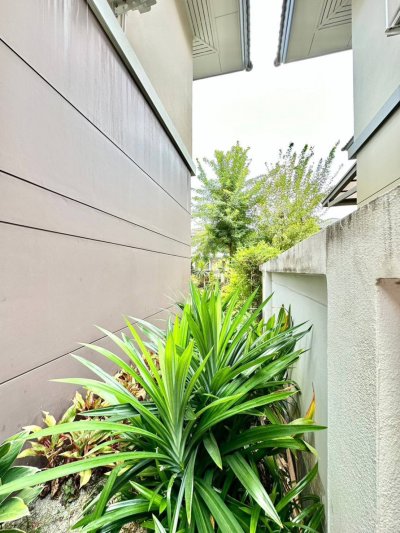 11R0249 ให้เช่าบ้านเดี่ยวสองชั้น 4ห้องนอน 3ห้องน้ำ ราคา 75,000/เดือน โซนเกาะแก้ว