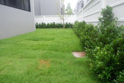 11R0413 This house for rent 3 bedroom 3 bathroom 120,000/month at kohkaew