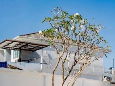 11R0518 ให้เช่า pool villa 3 ห้องนอน 2 ห้องน้ำ ราคา 85,000/เดือน โซนเกาะแก้ว