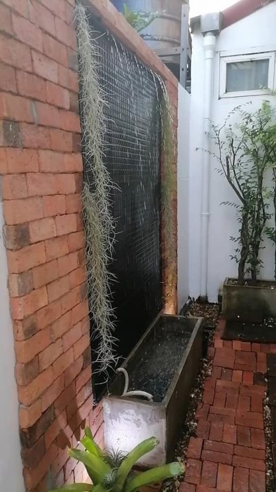 12R0248 ให้เช่าบ้านเดี่ยวชั้นเดียว 3ห้องนอน 2ห้องน้ำ ราคา 20,000/เดือน โซนถลาง