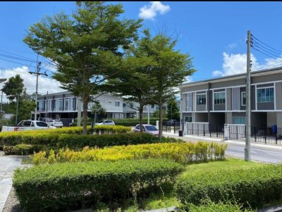 12R0305 ให้เช่าบ้านแฝดชั้นเดียว 3 ห้องนอน 2 ห้องน้ำ ราคา 24,000/เดือน โซนถลาง 12R0305 ให้เช่าบ้านแฝดชั้นเดียว 3 ห้องนอน 2 ห้องน้ำ ราคา 24,000/เดือน โซนถลาง