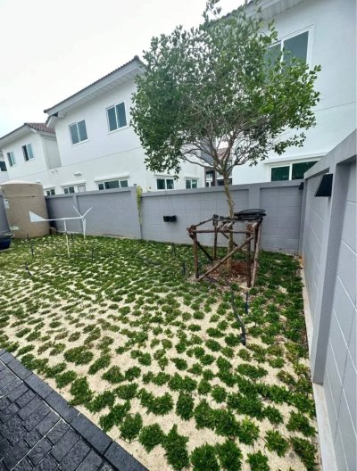 12R0329 ให้เช่าบ้านแฝดสองชั้น 3 ห้องนอน 2 ห้องน้ำ ราคา 55,000/เดือน โซนถลาง