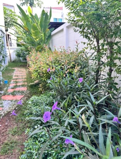 12R0407 ให้เช่าบ้านเดี่ยวสองชั้น 3 ห้องนอน 2 ห้องน้ำ ราคา 50,000/เดือน โซนถลาง