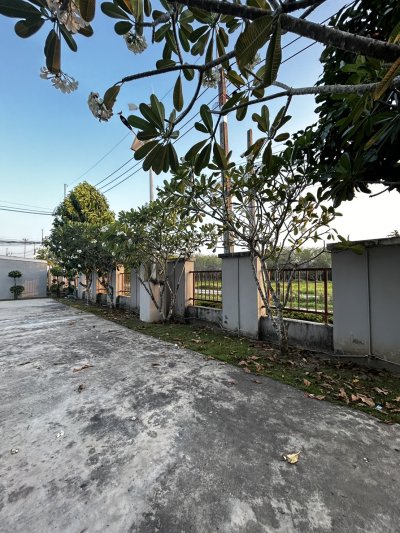12R0468 This house for rent 4 bedroom 2 bathroom 20,000/month at thalang