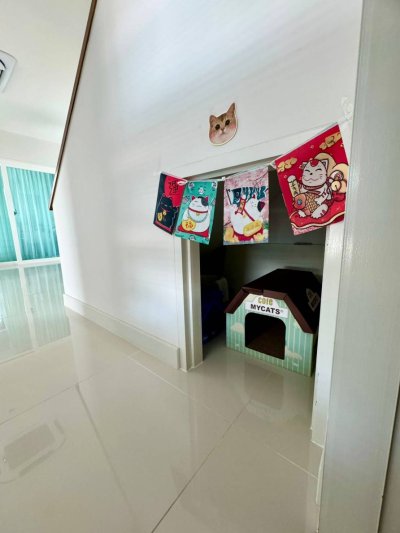 12R0471 Pool villa for rent 4 bedroom 3 bathroom 100,000/month at thalang