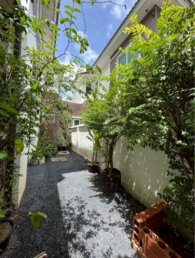 12R0500 This house for rent 3 bedroom 2 bathroom 45,000/month at thalang