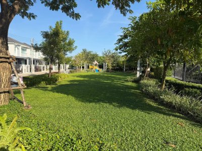 12R0543 ให้เช่าบ้านแฝดสองชั้น 3 ห้องนอน 3 ห้องน้ำ ราคา 35,000/เดือน โซนถลาง