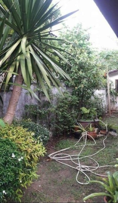 13R0081 ให้เช่าบ้านเดี่ยวชั้นเดียว 3ห้องนอน 2ห้องน้ำ ราคา 25,000/เดือน โซนป่าคลอก,ถลาง