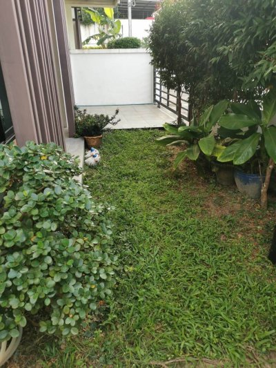 13R0102 This house for rent 3bedroom 2bathroom 28,000/month in paklok,thalang