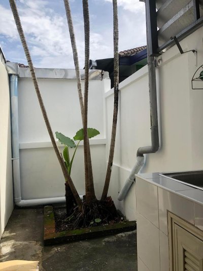 13R0131 ให้เช่าบ้านเดี่ยวชั้นเดียว 3ห้องนอน 2ห้องน้ำ ราคา 40,000/เดือน โซนป่าคลอก,ถลาง