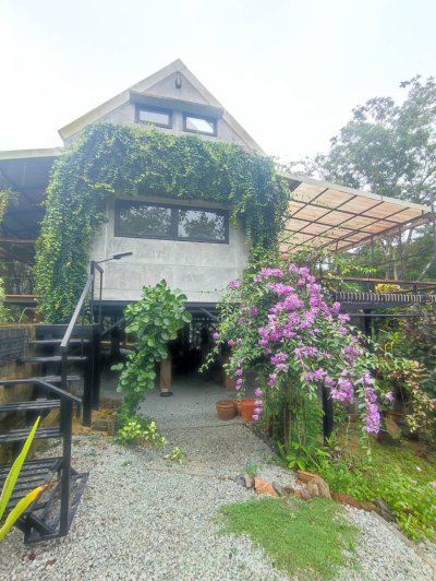 13R0159 This house for rent 2 bedroom 2 bathroom 45,000/month at paklok,thalang