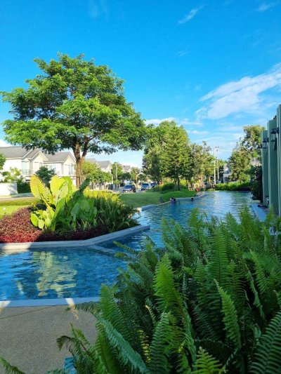 13R0203 ให้เช่าบ้านเดี่ยวสองชั้น 3 ห้องนอน 3 ห้องน้ำ ราคา 65,000/เดือน โซนป่าคลอก,ถลาง 13R0203 ให้เช่าบ้านเดี่ยวสองชั้น 3 ห้องนอน 3 ห้องน้ำ ราคา 65,000/เดือน โซนป่าคลอก,ถลาง