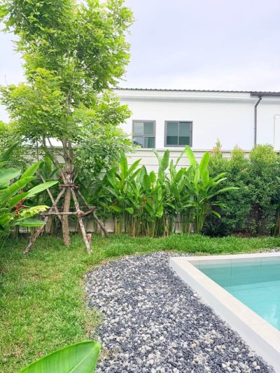 13R0223 Pool villa for rent 3 bedroom 3 bathroom 80,000/month at paklok,thalang