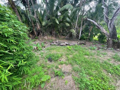 1L0001 Land for sale 248 square meters 4,200,000 baht located near Naiyang beach