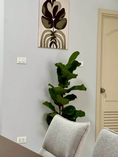 1R0165 This house for rent 3 bedroom 2 bathroom 28,000/month near airport