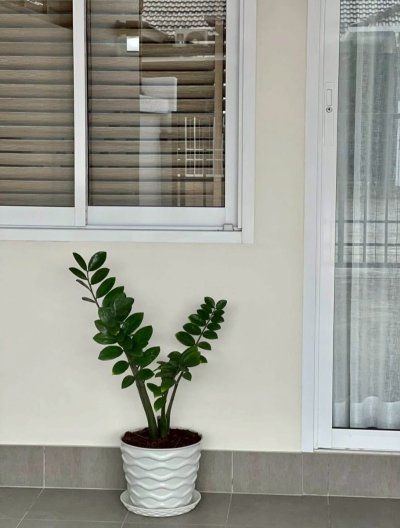 1R0165 This house for rent 3 bedroom 2 bathroom 28,000/month near airport
