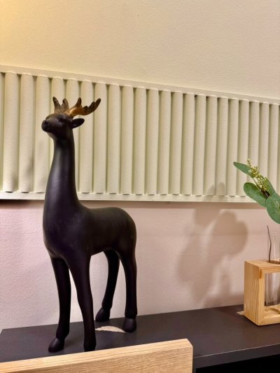 1R0171 ให้เช่าบ้านแฝดชั้นเดียว 2 ห้องนอน 2 ห้องน้ำ ราคา 25,000/เดือน โซนสนามบิน