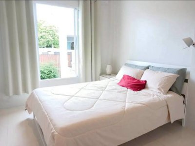 2R0980 Pool villa for rent 3 bedroom 2 bathroom 80,000/month at cherngtalay