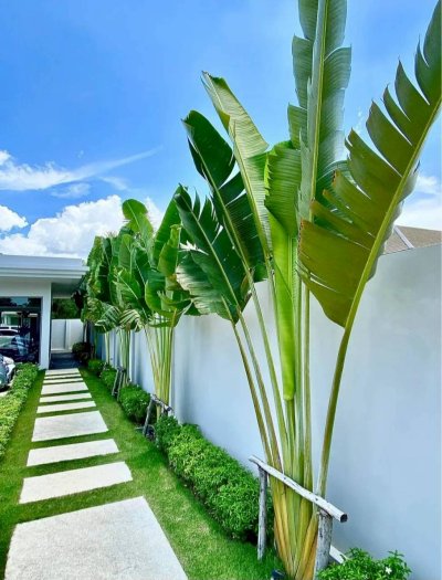 2R0981 Pool villa for rent 3 bedroom 3 bathroom 180,000/month at cherngtalay,thalang