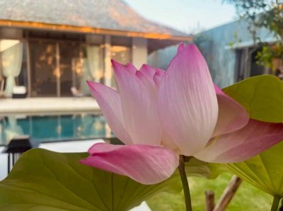 2R1089 Pool villa for rent 4 bedroom 4 bathroom 190,000/month at cherngtalay,thalang