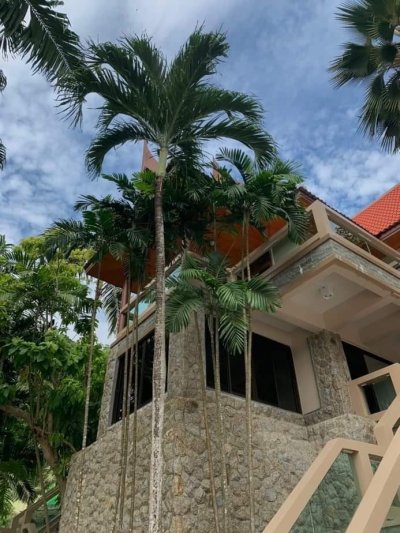 3R0080 ให้เช่า pool villa 4 ห้องนอน 4 ห้องน้ำ ราคา 80,000/เดือน โซนกมลา