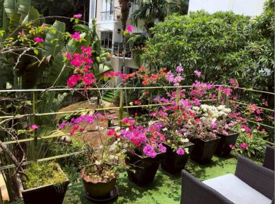 3R0253 Penthouse with private pool for rent 2 bedroom 2 bathroom 80,000/month at kamala