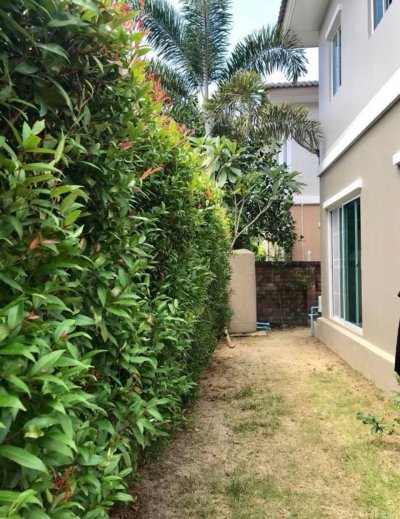 5R0127 ให้เช่าบ้านเดี่ยวสองชั้น 3 ห้องนอน 2 ห้องน้ำ ราคา 45,000/เดือน โซนกะทู้