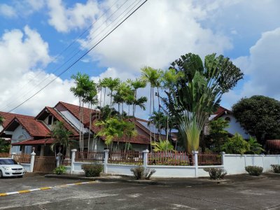 5R0482 ให้เช่าบ้านเดี่ยวสองชั้น 3 ห้องนอน 3 ห้องน้ำ ราคา 45,000/เดือน โซนกะทู้ 5R0482 ให้เช่าบ้านเดี่ยวสองชั้น 3 ห้องนอน 3 ห้องน้ำ ราคา 45,000/เดือน โซนกะทู้