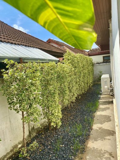 5R0537 ให้เช่าบ้านเดี่ยวสองชั้น 2 ห้องนอน 1 ห้องน้ำ ราคา 35,000/เดือน โซนกะทู้