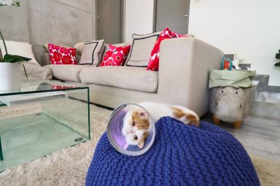 5R0745 ให้เช่า pool villa 2 ห้องนอน 3 ห้องน้ำ ราคา 60,000/เดือน โซนกะทู้