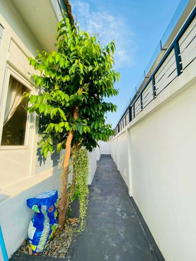 5R0795 This house for rent 3 bedroom 2 bathroom 33,000/month at kathu