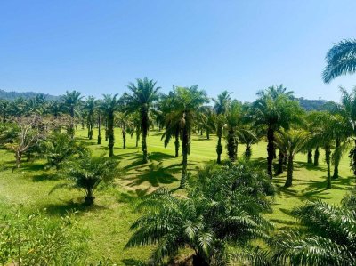 5R0797 Pool villa for rent 5 bedroom 7 bathroom 400,000/month at kathu