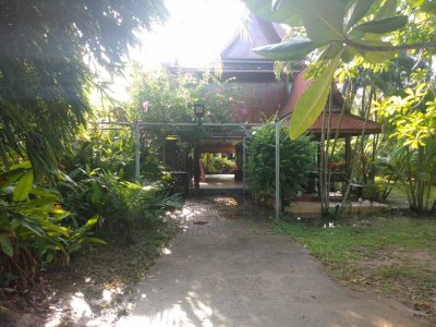 6R0083 This house with common pool 2bedroom 2bathroom 40,000/month at kata