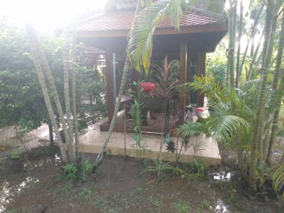 6R0083 This house with common pool 2bedroom 2bathroom 40,000/month at kata