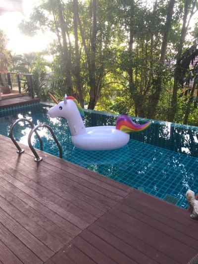 6R0088 ให้เช่า pool villa 3ห้องนอน 3ห้องน้ำ 1ห้องแม่บ้าน ราคา 80,000/เดือน โซนกะตะ กะรน