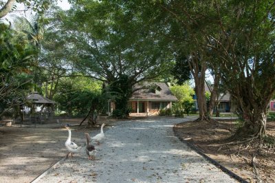 7R0393 ให้เช่าบ้านเดี่ยว 2ห้องนอน 2ห้องน้ำ ราคา 55,000/เดือน โซนราไวย์