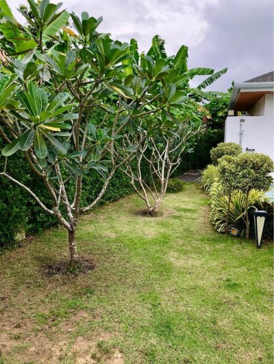 7R0521 ให้เช่า pool villa 3ห้องนอน 4ห้องน้ำ ราคา 80,000 ต่อเดือน โซนราไวย์
