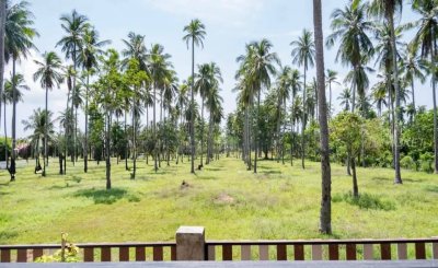 7R0524 ให้เช่าบ้านเดี่ยวชั้นเดียว 2 ห้องนอน 2 ห้องน้ำ ราคา 35,000/เดือน โซนราไวย์