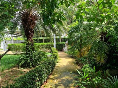 7R0589 This House with common pool with 1bedroom 1bathroom 30,000/month in rawai