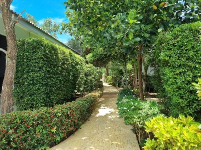 7R0589 This House with common pool with 1bedroom 1bathroom 30,000/month in rawai